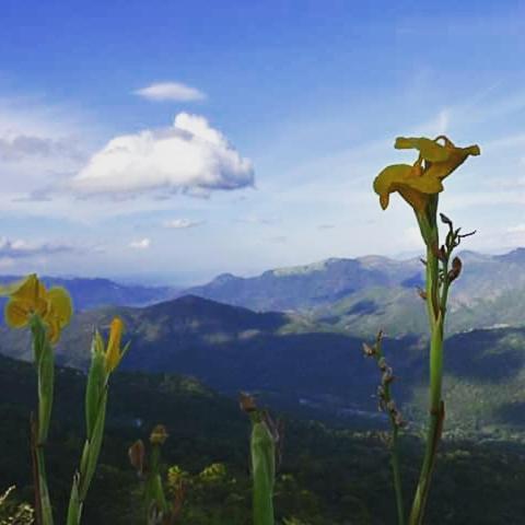 Marabedda Gardens Resort Rikillagaskada ภายนอก รูปภาพ